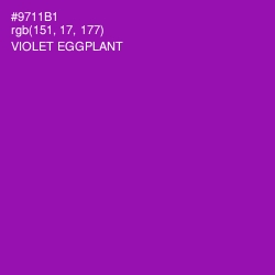 #9711B1 - Violet Eggplant Color Image