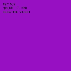 #9711C2 - Electric Violet Color Image