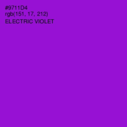 #9711D4 - Electric Violet Color Image