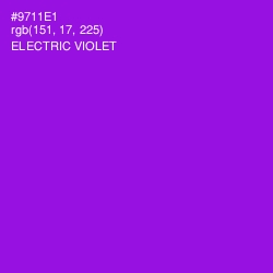 #9711E1 - Electric Violet Color Image