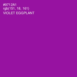 #9712A1 - Violet Eggplant Color Image