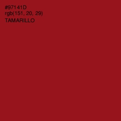 #97141D - Tamarillo Color Image