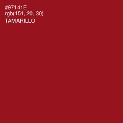 #97141E - Tamarillo Color Image
