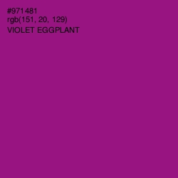 #971481 - Violet Eggplant Color Image