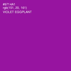 #9714A1 - Violet Eggplant Color Image