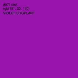 #9714AA - Violet Eggplant Color Image
