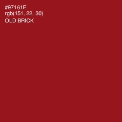 #97161E - Old Brick Color Image