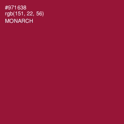 #971638 - Monarch Color Image