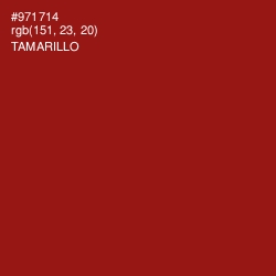 #971714 - Tamarillo Color Image