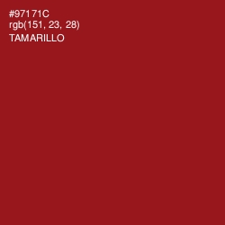 #97171C - Tamarillo Color Image