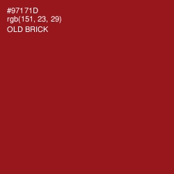 #97171D - Old Brick Color Image