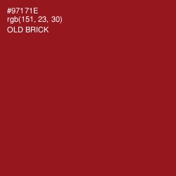 #97171E - Old Brick Color Image