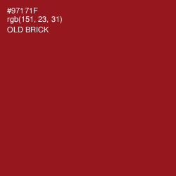 #97171F - Old Brick Color Image