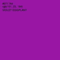 #9717A4 - Violet Eggplant Color Image