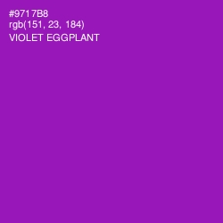 #9717B8 - Violet Eggplant Color Image