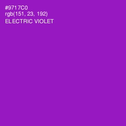 #9717C0 - Electric Violet Color Image