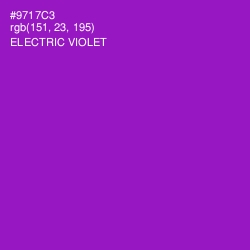 #9717C3 - Electric Violet Color Image