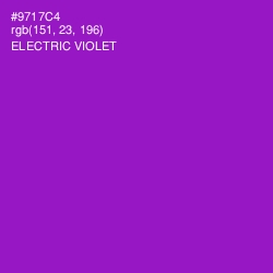 #9717C4 - Electric Violet Color Image