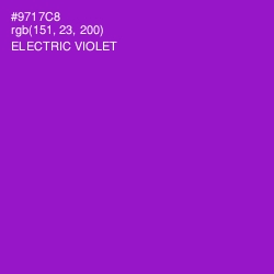 #9717C8 - Electric Violet Color Image