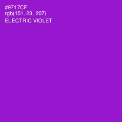 #9717CF - Electric Violet Color Image