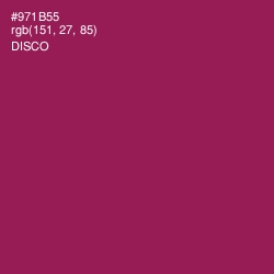 #971B55 - Disco Color Image