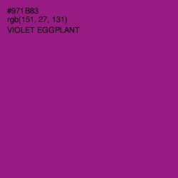 #971B83 - Violet Eggplant Color Image