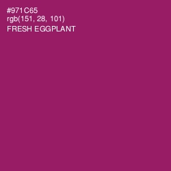 #971C65 - Fresh Eggplant Color Image