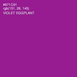 #971C91 - Violet Eggplant Color Image