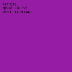 #971CA5 - Violet Eggplant Color Image