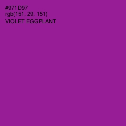 #971D97 - Violet Eggplant Color Image