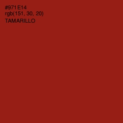 #971E14 - Tamarillo Color Image