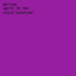 #971EA0 - Violet Eggplant Color Image