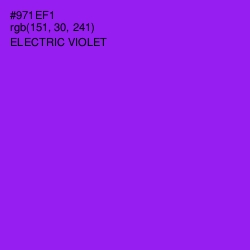 #971EF1 - Electric Violet Color Image