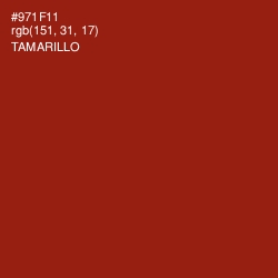 #971F11 - Tamarillo Color Image