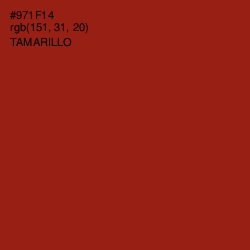 #971F14 - Tamarillo Color Image