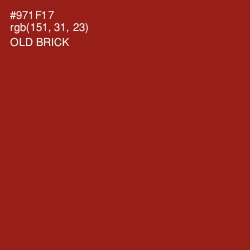 #971F17 - Old Brick Color Image