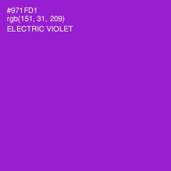 #971FD1 - Electric Violet Color Image