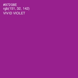 #97208E - Vivid Violet Color Image