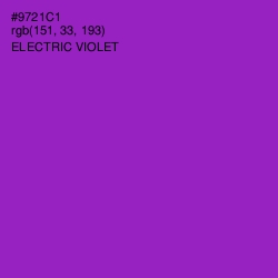 #9721C1 - Electric Violet Color Image