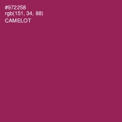 #972258 - Camelot Color Image