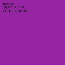 #9724A3 - Violet Eggplant Color Image