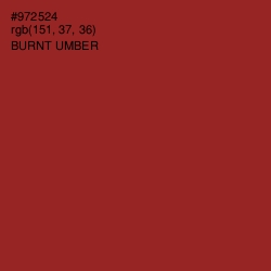 #972524 - Burnt Umber Color Image