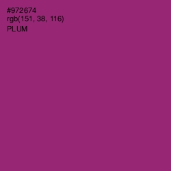 #972674 - Plum Color Image