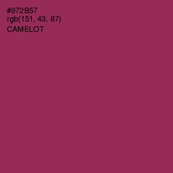 #972B57 - Camelot Color Image