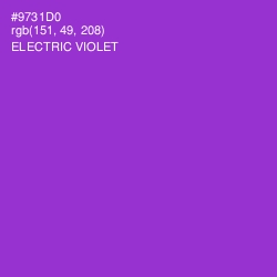#9731D0 - Electric Violet Color Image
