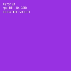 #9731E1 - Electric Violet Color Image