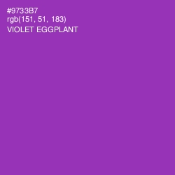 #9733B7 - Violet Eggplant Color Image