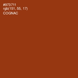 #973711 - Cognac Color Image