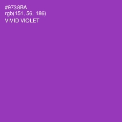 #9738BA - Vivid Violet Color Image