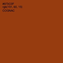 #973C0F - Cognac Color Image